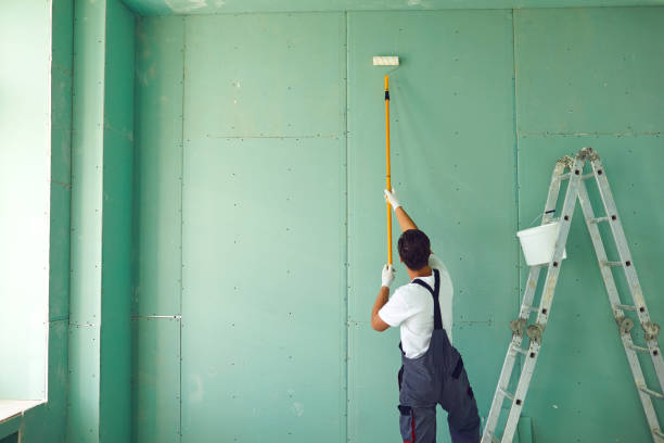 Best Forensic Mold Investigation  in Selden, NY