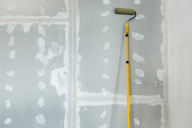 Best Mold Prevention Services  in Selden, NY