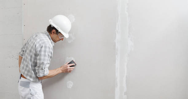 Best Mold Damage Restoration  in Selden, NY