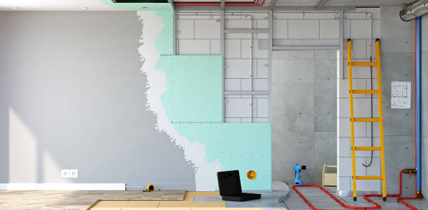 Best Post-Construction Mold Inspection  in Selden, NY