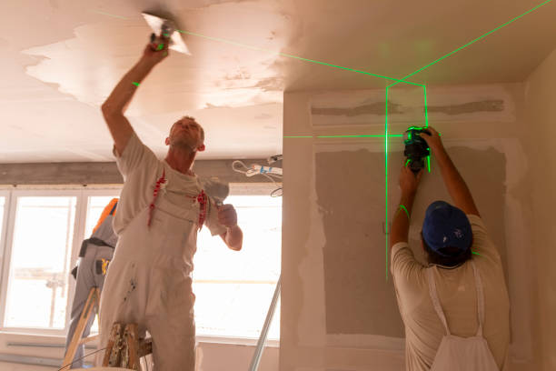 Best Water Damage & Mold Remediation  in Selden, NY