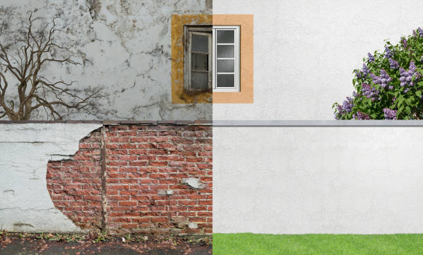Best Comprehensive Air Testing for Mold Contaminants  in Selden, NY